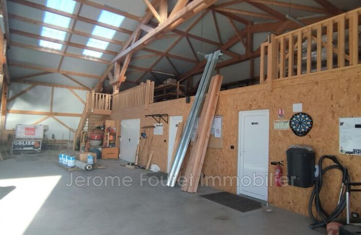 professionnel — photo 4
