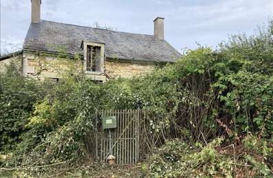 vente maison 23 300 € à proximité de Ids-Saint-Roch (18170)