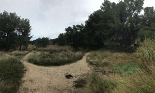 Terrain  80839 m² à vendre à Mauguio (34130)