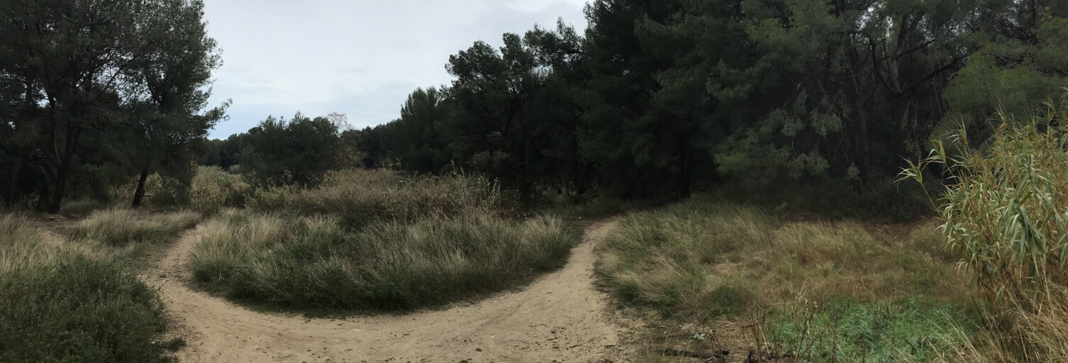 Terrain  80839 m² à vendre à Mauguio (34130)