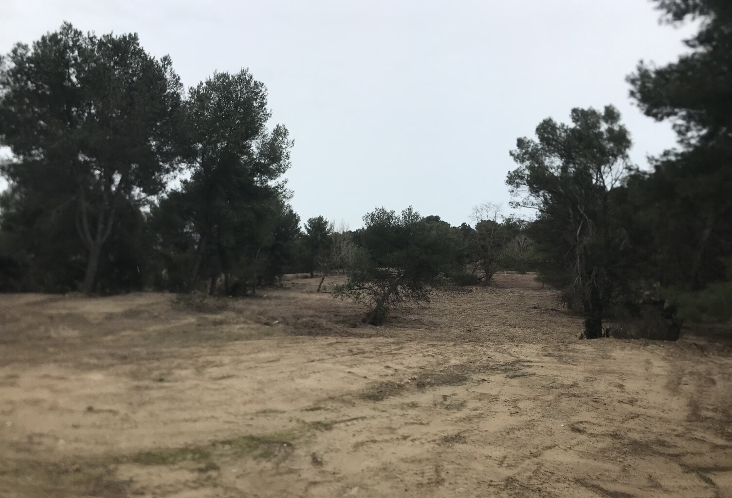 Vente Terrain Agricole avec Bois — photo 1