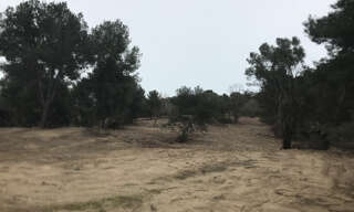 Terrain  80839 m² à vendre à Mauguio (34130)