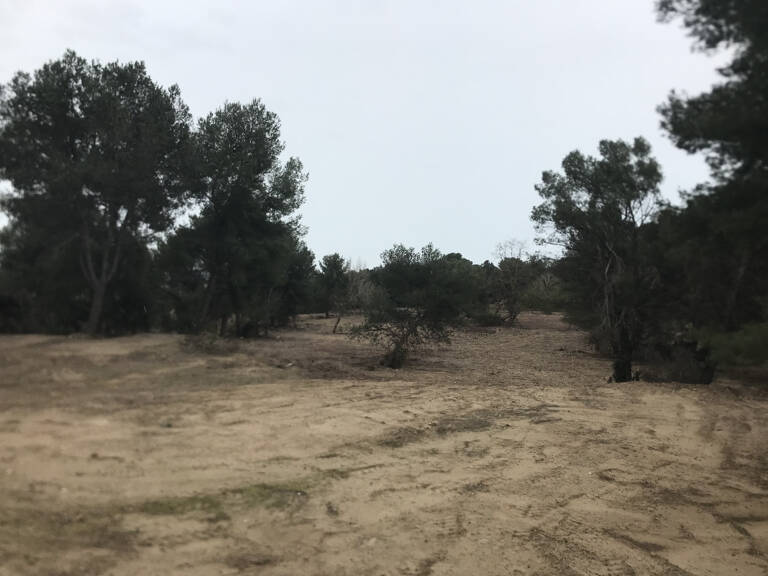 Vente Terrain Agricole avec Bois — photo 1