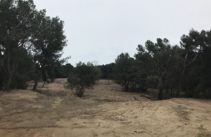 Vente Terrain Agricole avec Bois — photo 2