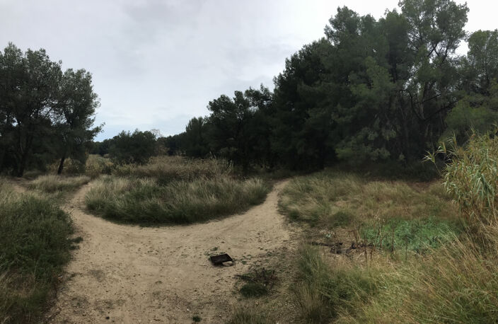 Vente Terrain Agricole avec Bois — photo 3