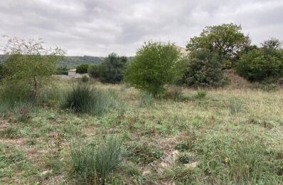 vente terrain 71 500 € à proximité de Saint-Frézal-de-Ventalon (48240)