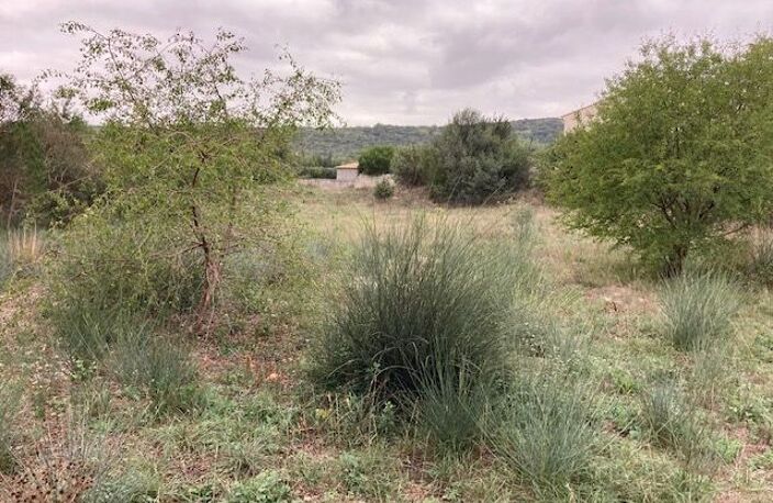 Superbe Parcelle de Terrain Constructible de 1502 m² avec Vue Imprenable — photo 3