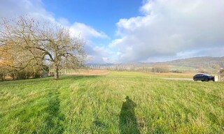 Photo N° 4