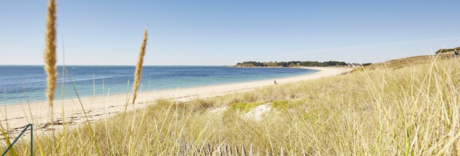 Commerce   m² à vendre à Saint-Pierre-Quiberon (56510)