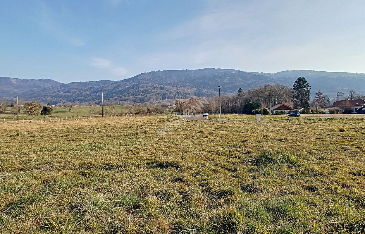 terrain  pièces 962 m2 à vendre à Brenthonne (74890)