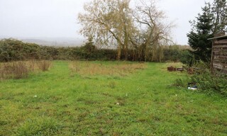 Photo N° 5