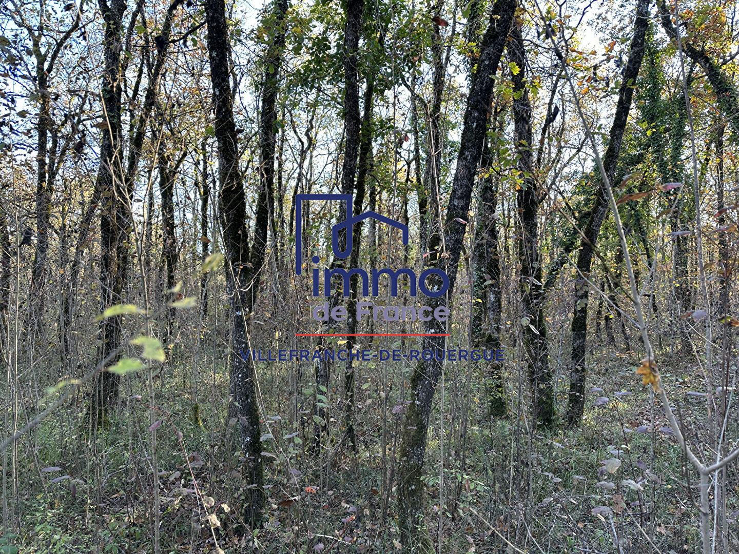 Terrain  à vendre Savignac 12200