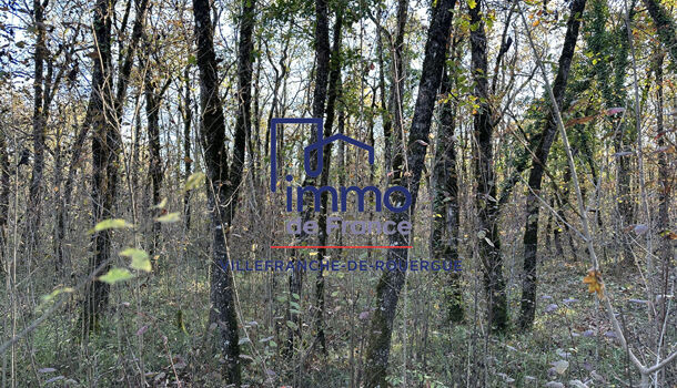 Terrain  à vendre Savignac 12200