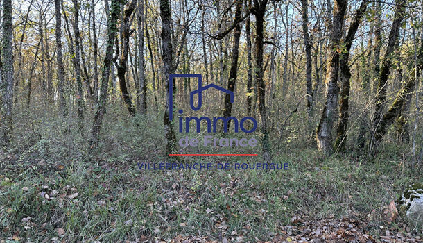 Terrain  à vendre Savignac 12200