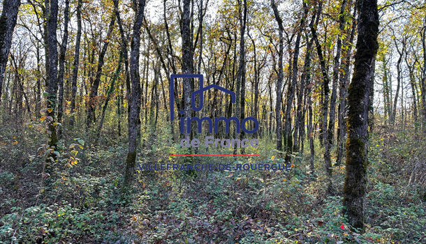 Terrain  à vendre Savignac 12200