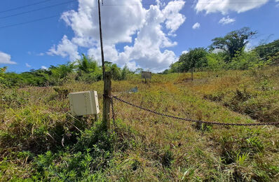 vente terrain 663 830 € à proximité de Guyane