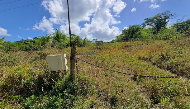 Terrain  à vendre Montsinéry-Tonnegrande 97356