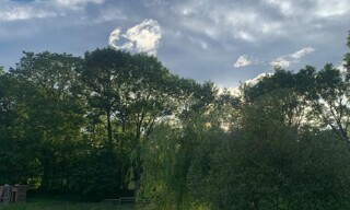 Photo N° 3