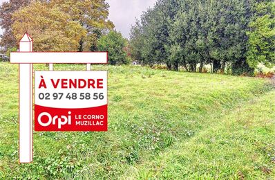 vente terrain 93 000 € à proximité de Lauzach (56190)