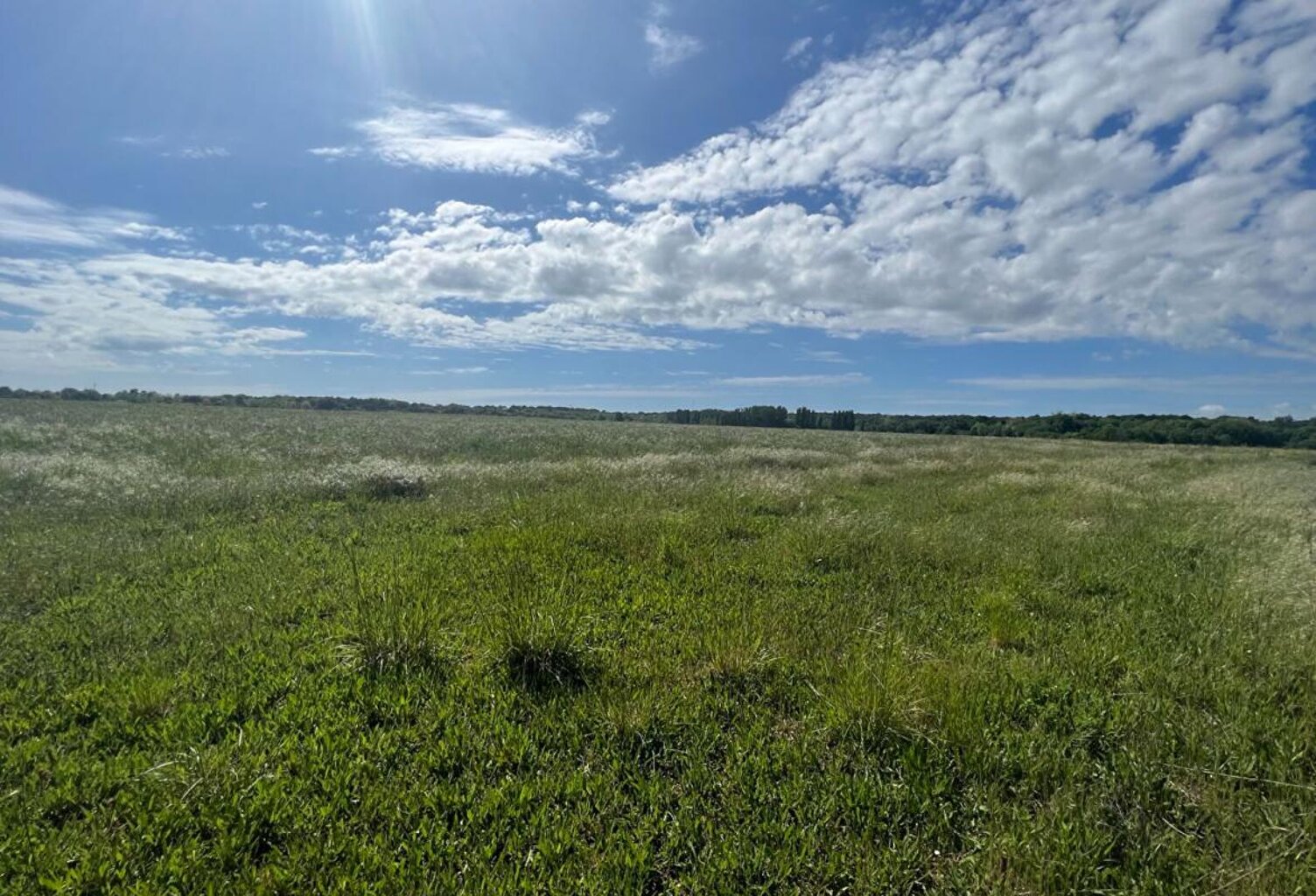 Terrain Meschers Sur Gironde 1279 m2 — photo 1