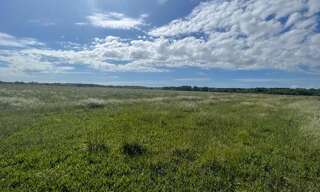 Terrain  1279 m² à vendre à Meschers-sur-Gironde (17132)