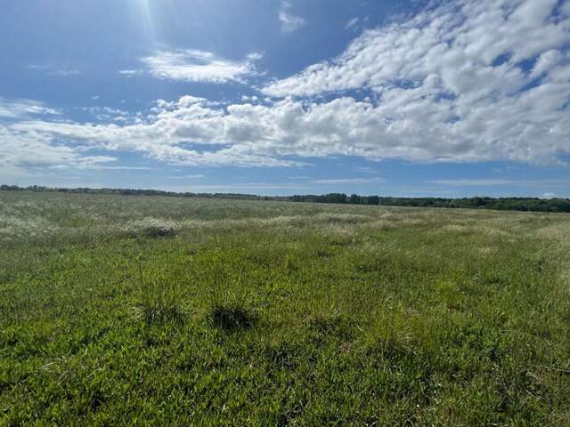 Terrain Meschers Sur Gironde 1279 m2 — photo du bien