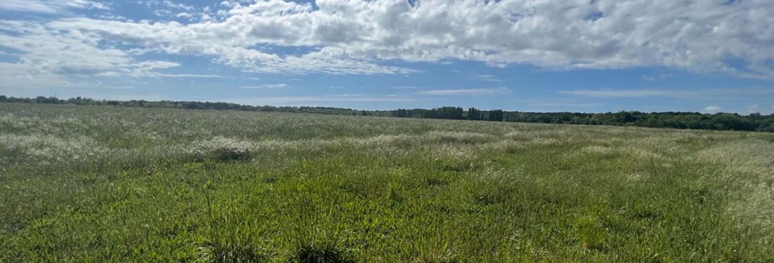 Terrain  1279 m² à vendre à Meschers-sur-Gironde (17132)