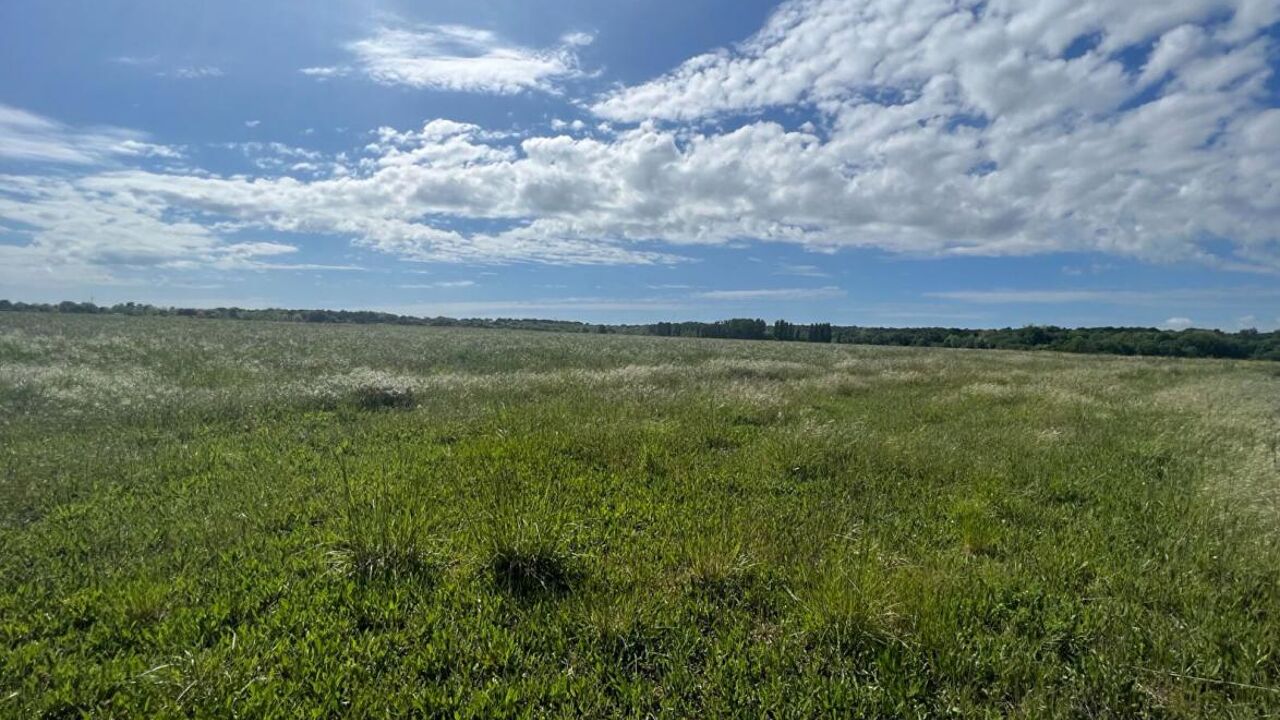 terrain  pièces 1279 m2 à vendre à Meschers-sur-Gironde (17132)