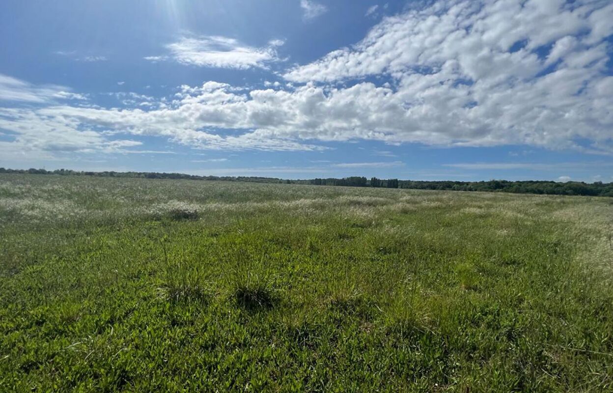 terrain  pièces 1279 m2 à vendre à Meschers-sur-Gironde (17132)