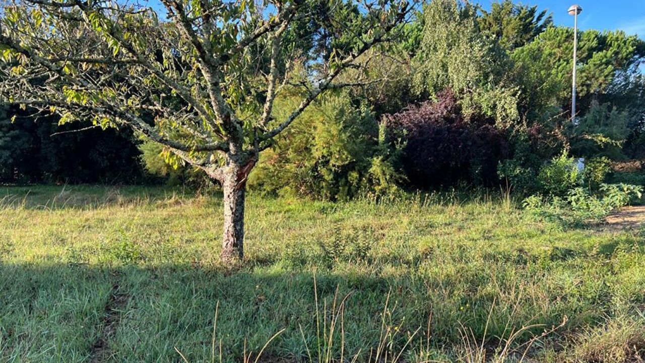 terrain  pièces 301 m2 à vendre à Dolus-d'Oléron (17550)