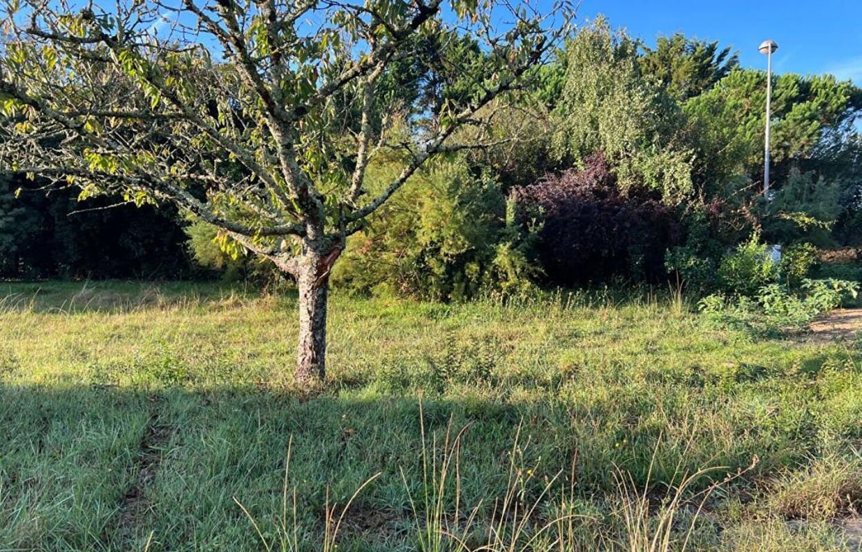 terrain  pièces 301 m2 à vendre à Dolus-d'Oléron (17550)