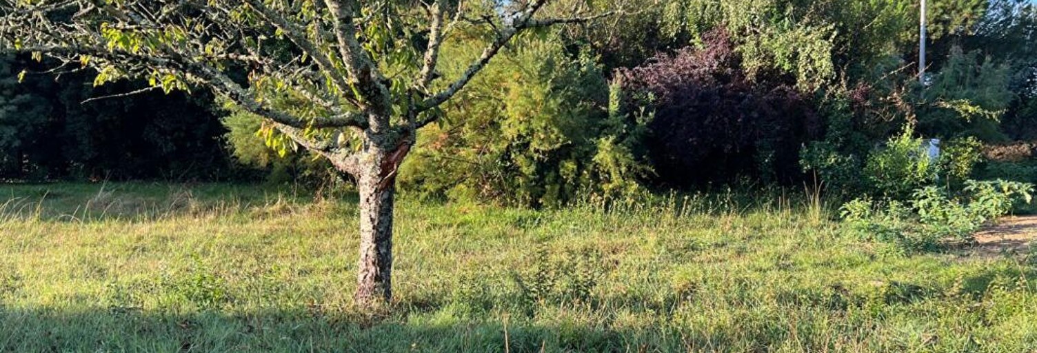 Terrain  300 m² à vendre à Dolus-d'Oléron (17550)