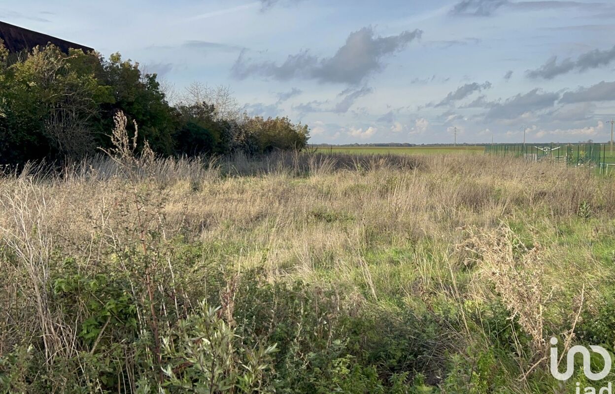 terrain  pièces 2135 m2 à vendre à La Chapelle-la-Reine (77760)