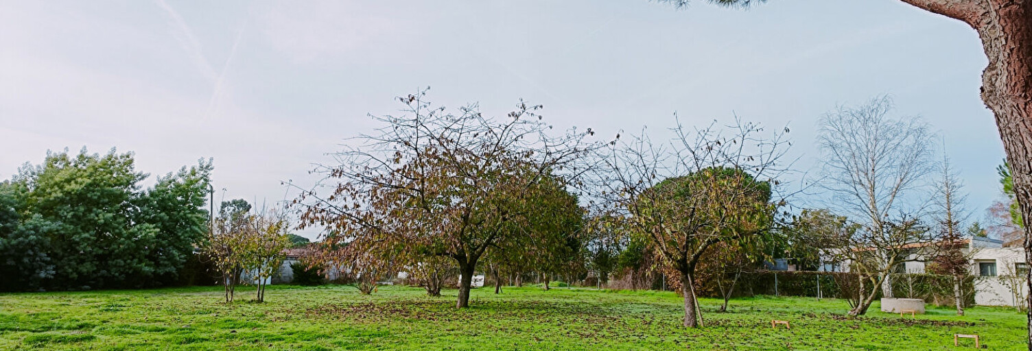 Terrain  994 m² à vendre à Tournefeuille (31170)
