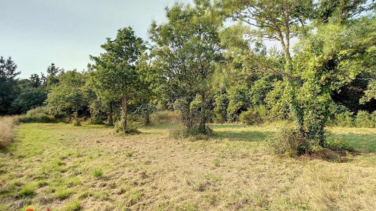 terrain  pièces 3000 m2 à vendre à La Turballe (44420)