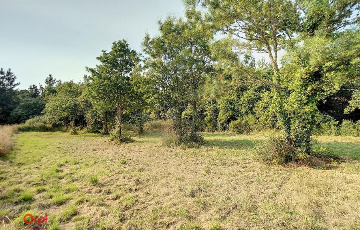 terrain  pièces 3000 m2 à vendre à La Turballe (44420)