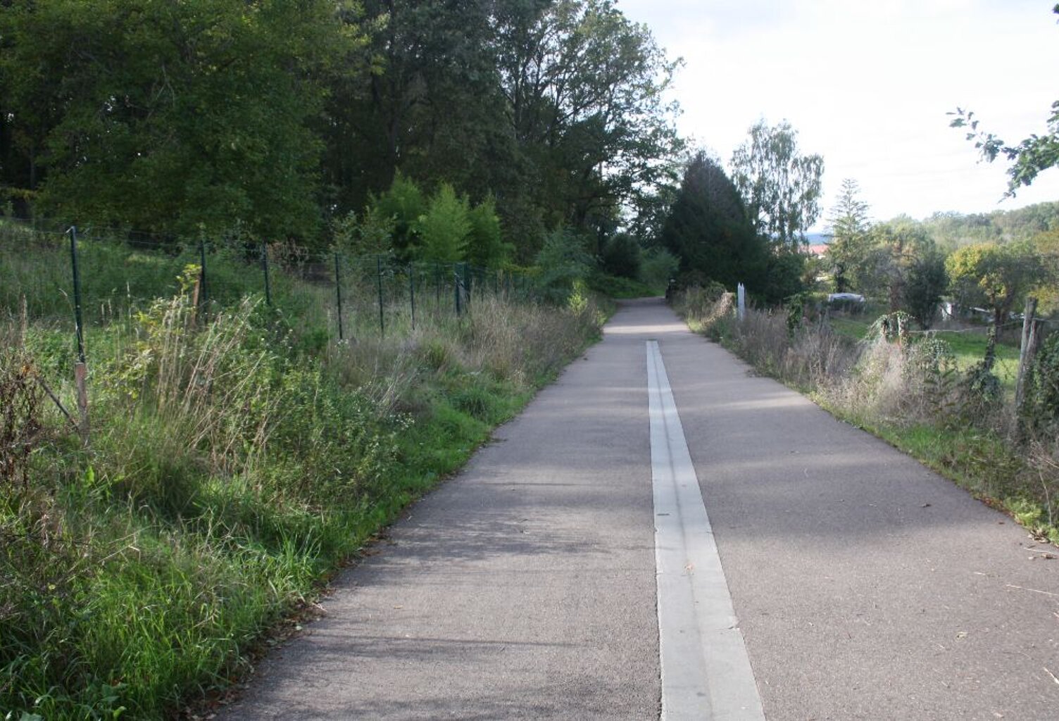 Terrain Saint Georges Sur Baulche 1 166 m² — photo 1