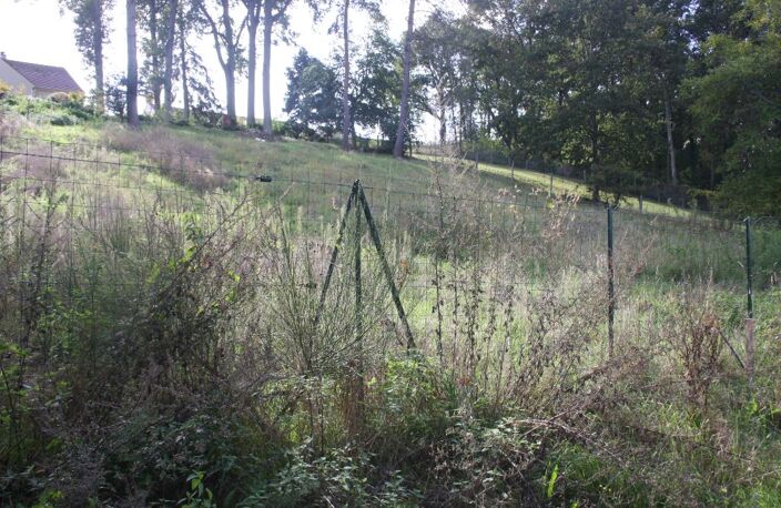 Terrain Saint Georges Sur Baulche 1 166 m² — photo 4