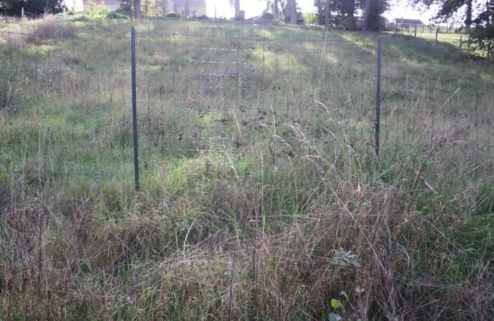 Terrain Saint Georges Sur Baulche 1 166 m² — photo 5