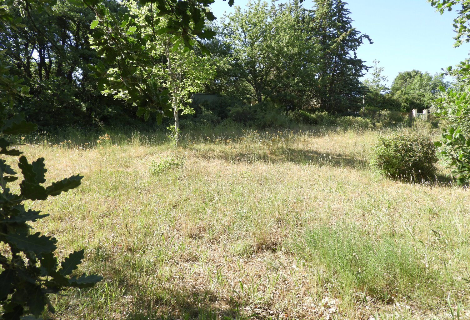 GABIAN 818 m2 constructibles — photo 1