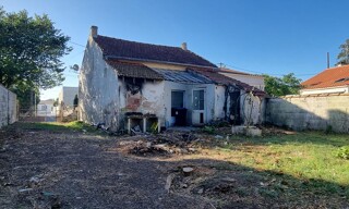 Photo N° 3
