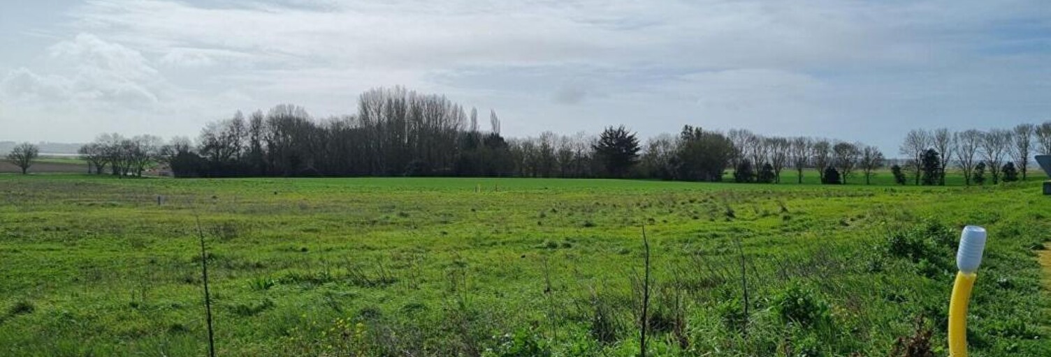 Terrain  2161 m² à vendre à Muron (17430)