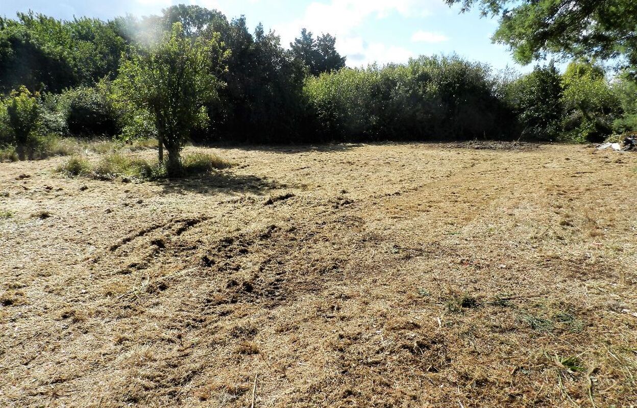 terrain  pièces 309 m2 à vendre à Dolus-d'Oléron (17550)