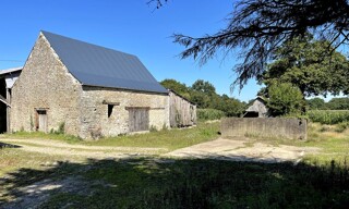 Photo N° 5