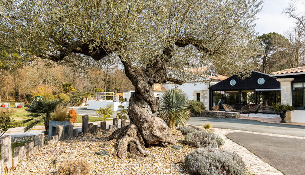 Villa / Maison 10 pièces  à vendre Royan 17200