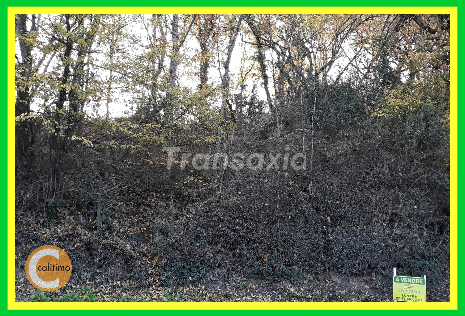 terrain à Bâtir — photo 1