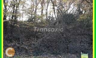 Maison 1 Pièce  m² à vendre à Lunery (18400)