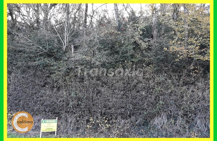 terrain à Bâtir — photo 2