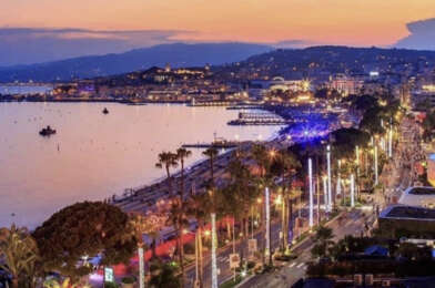 Commerce  559999 €