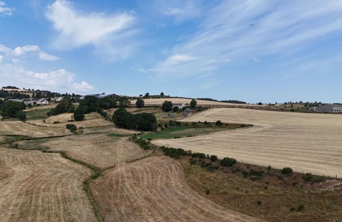 Pigne À Vendre — photo 2